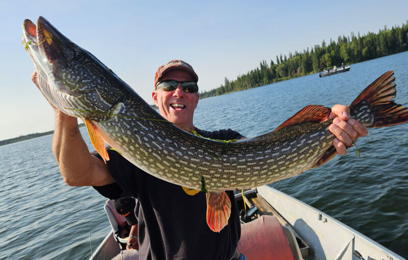 Forfaits de pêche au brochet — Grass River Lodge – Grass River Lodge